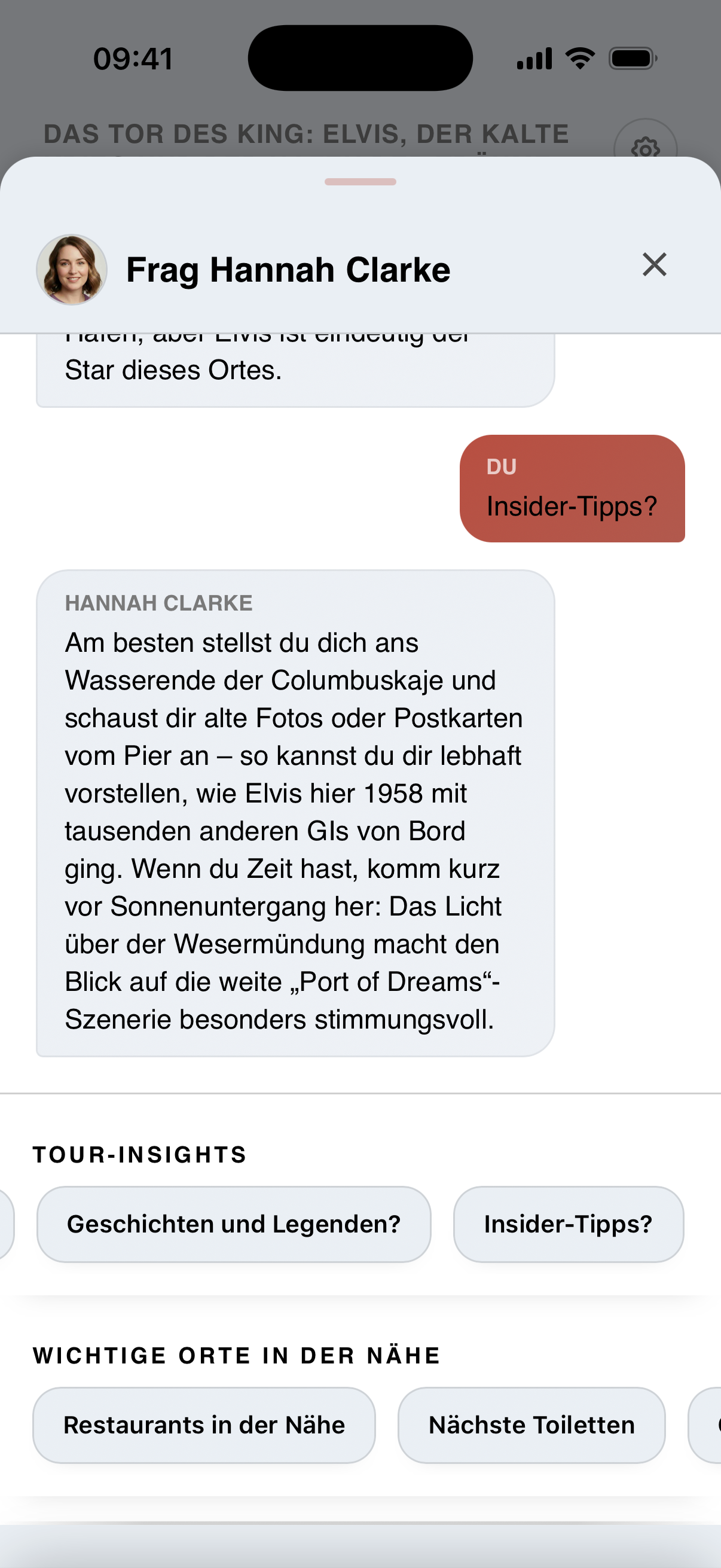 Screenshot des Guide-Chats